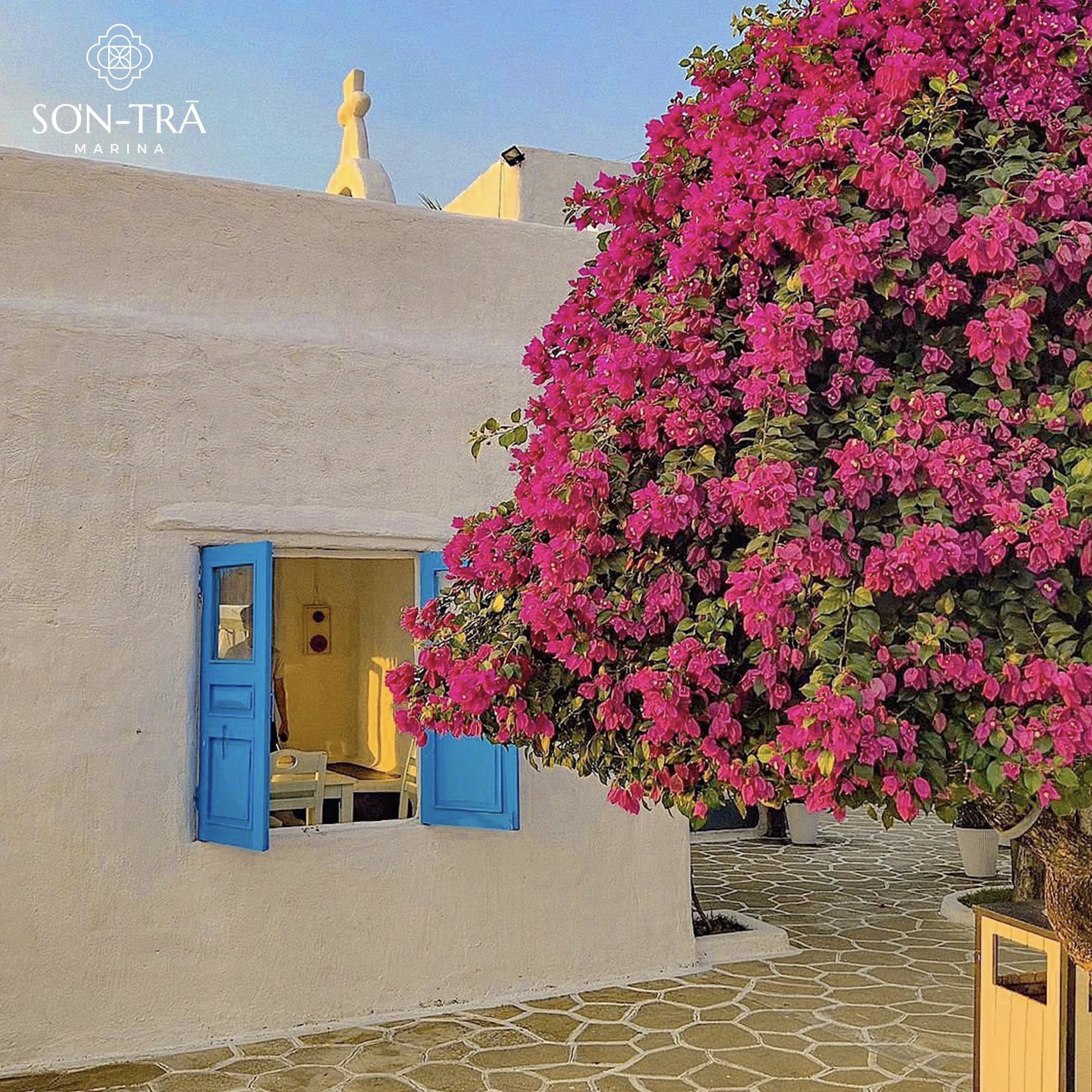 クルーズ後はフォトジェニックなソンチャマリーナカフェでひと休み